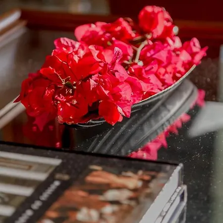 Hébergement de vacances House Estoril